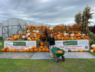 Pumpkin Picking for our Lighthouse and Hub.